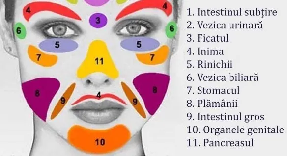 Toate BOLILE din corp ţi se citesc pe faţă. Ce legătură este între tenul tău şi organele interne