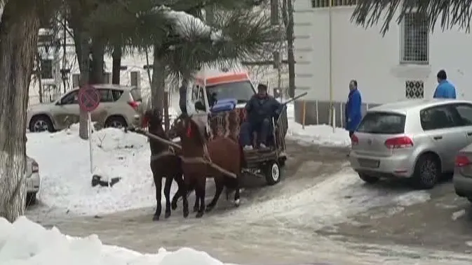 Ambulanţă trasă de cai. Imagini inedite la Institutul de Psihiatrie Socola