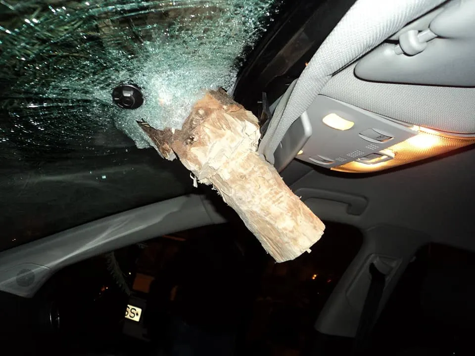 La un pas de tragedie! A aruncat bradul de la balcon, peste maşinile din parcare 