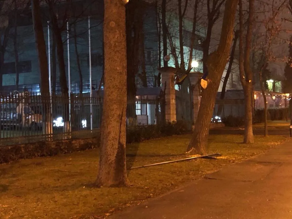 Ce a făcut PSD ca să nu se mai urce protestatarii în copac. Măsuri radicale la sediul din Kiseleff