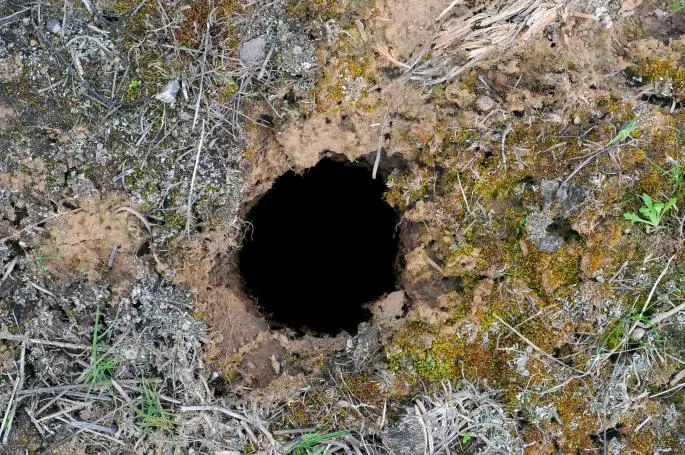 A săpat adânc în pământ, ca să planteze floarea-soarelui. A dat de un contanier. L-a deschis şi...