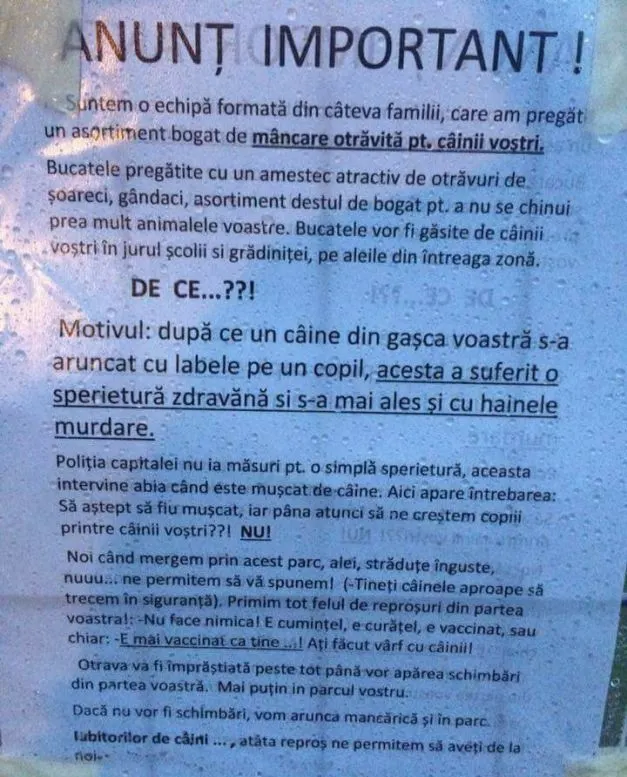 Ce vor păţi cei care au împrăştiat în Bucureşti mâncare otrăvită pentru câini?