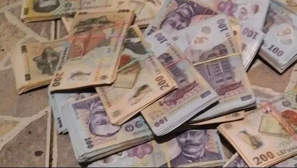 Descoperire şocantă a poliţiştilor - ce au găsit îngropat, într-o curte din Constanţa