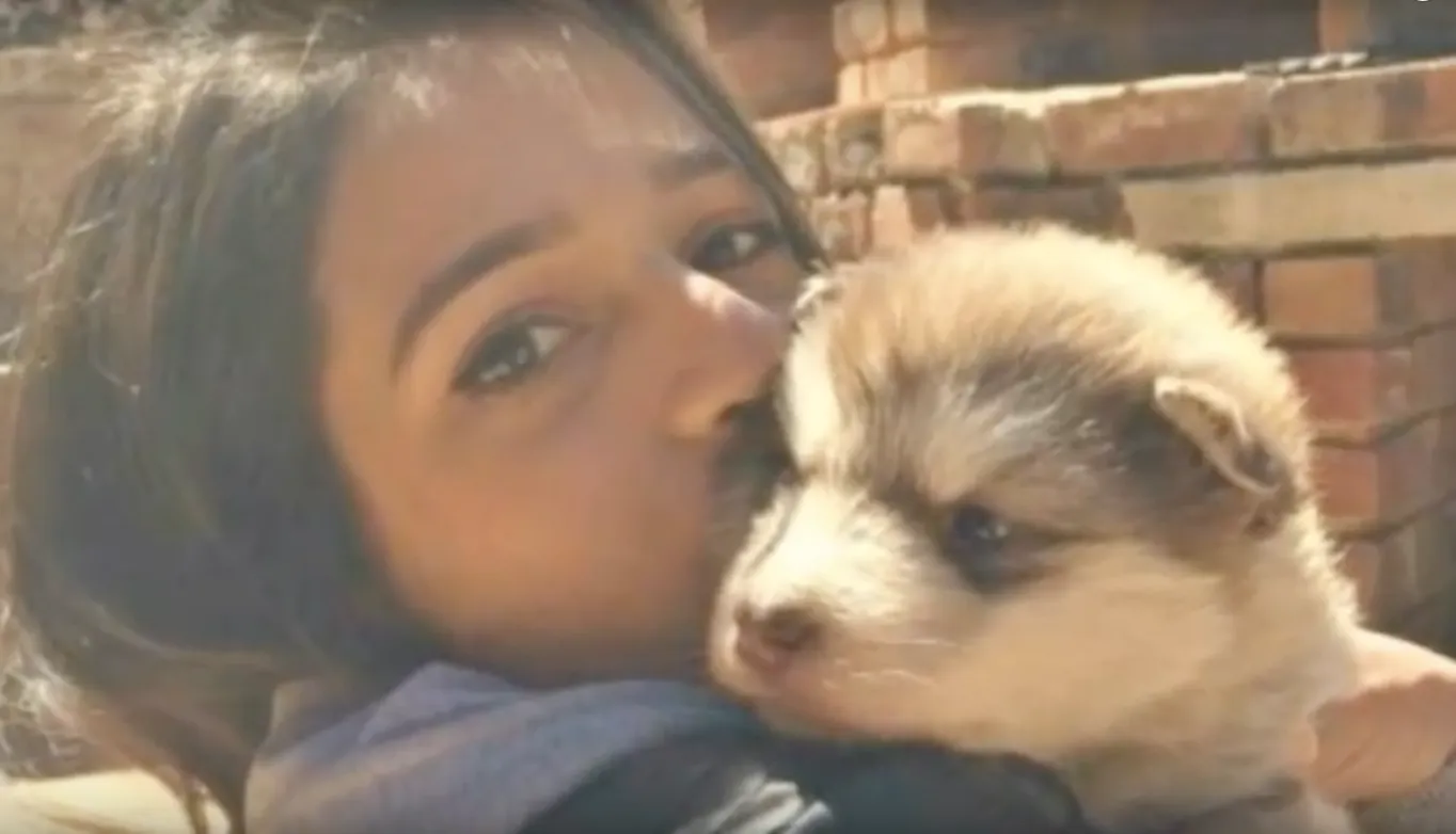 O femeie a adoptat un căţeluş mic şi adorabil. Un an mai târziu, şi-a dat seama ce GREŞEALĂ a făcut