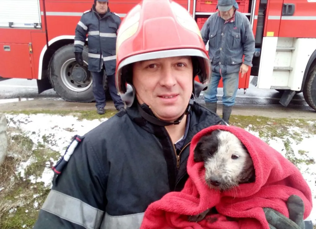 Pompieri cu inimă mare: au salvat un căţel de la o moarte sigură