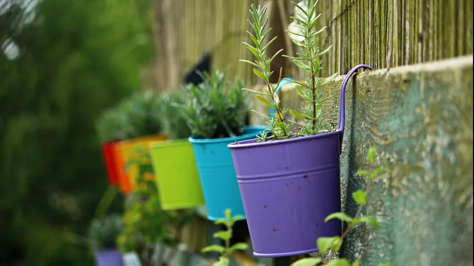 Truc eficient. Ce se întâmplă dacă pui o coajă de banană în ghiveciul florilor