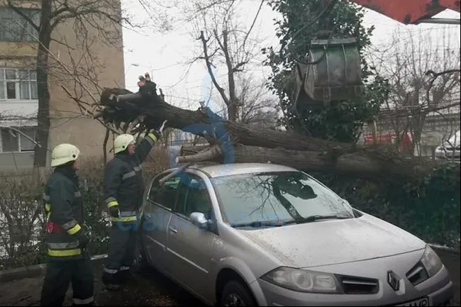 Efectul alertei meteo de vânt puternic: un copac s-a prăbuşit peste o maşină, în Craiova