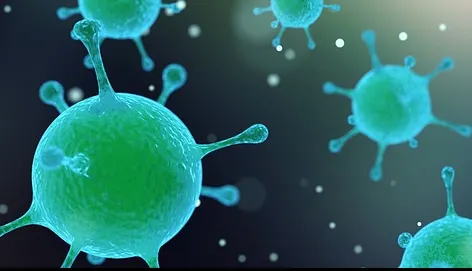 Locul plin de bacterii pe care-l credeai curat. N-ai cum să-l eviți