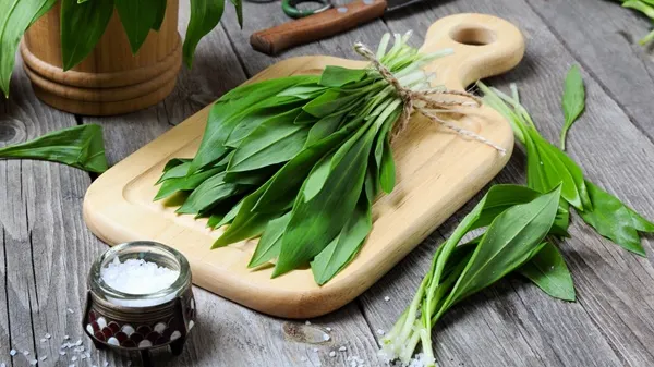 E supranumită şi "planta mileniului 3". Care e vedeta dintre verdeţurile minune ale primăverii