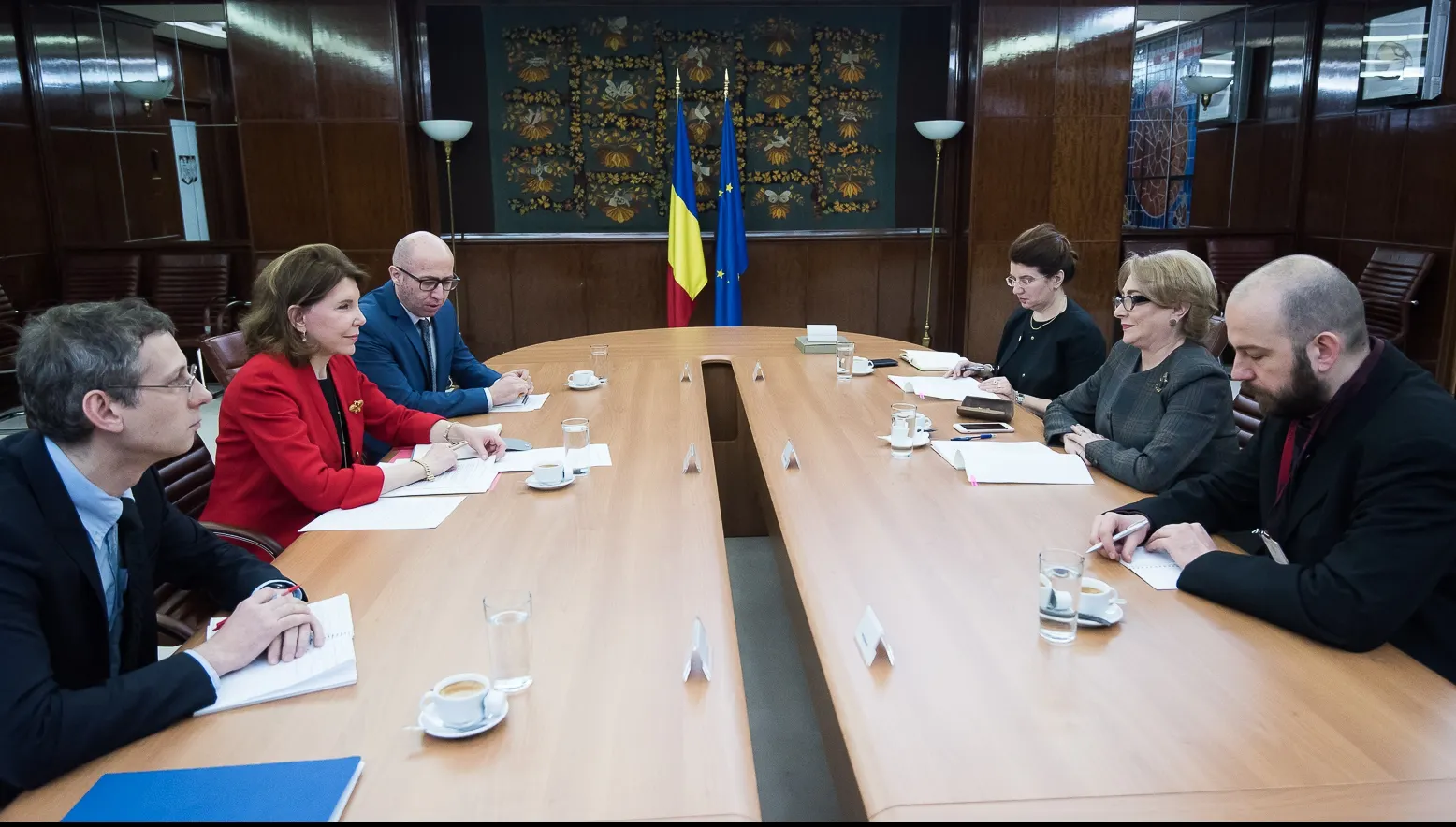Viorica Dăncilă, întâlnire cu ambasadorul Franţei