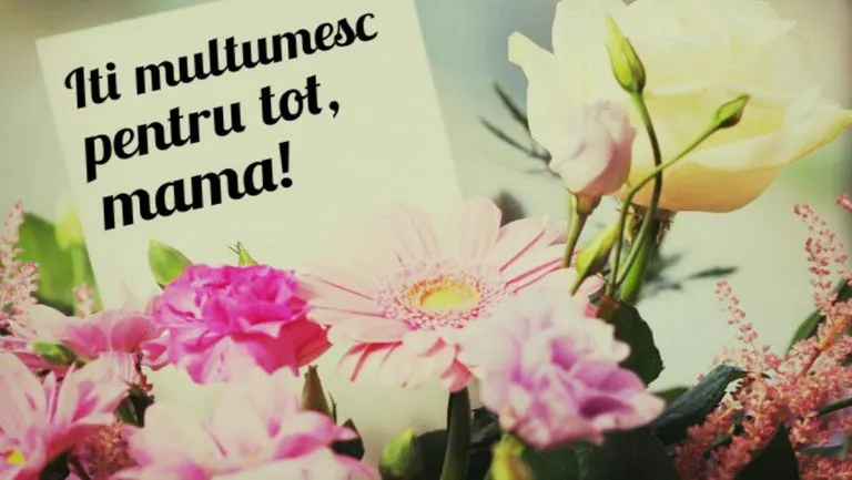 Felicitări şi mesaje 8 MARTIE. Cel mai frumos mod de a spune LA MULŢI ANI femeilor din viaţa noastră
