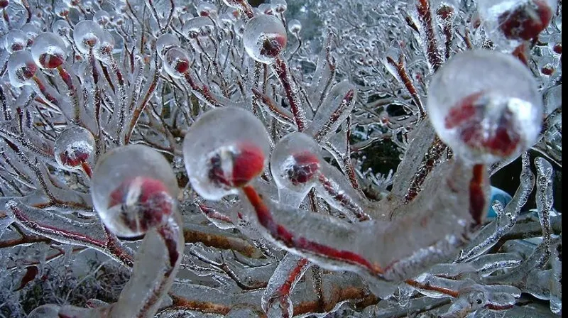 Anunţul sumbru făcut de meteorologi: La jumătatea lunii martie vine. Pregătiţi-vă!