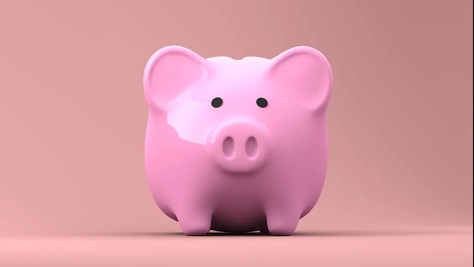 Cum poți economisi mulți bani fără efort