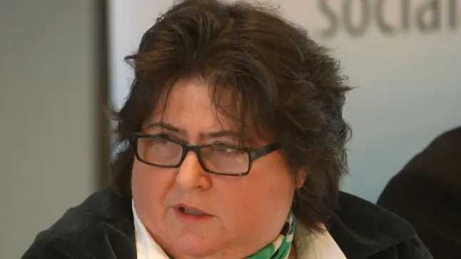 Alina Mungiu Pippidi: "Liviu Dragnea a fost demonizat şi hărţuit de presa din România"