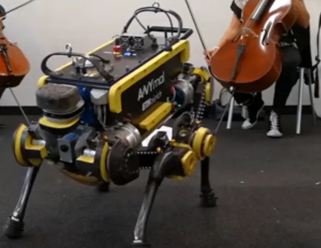 Cu robotul ăsta te poţi duce fără grijă în club. Nu e el atragător, dar dansează divin!