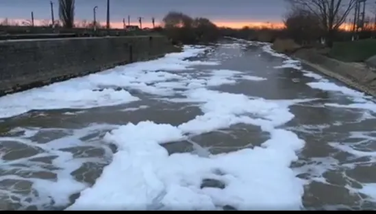 Ape pline de spumă în râul Bega. "Miroase a detergent". Nu e nicio problemă, spune Garda de Mediu