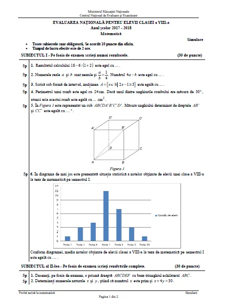 Când se afişează rezultatele la Simulare 2018 - Evaluare Naţională. Verifică ce notă ai luat!