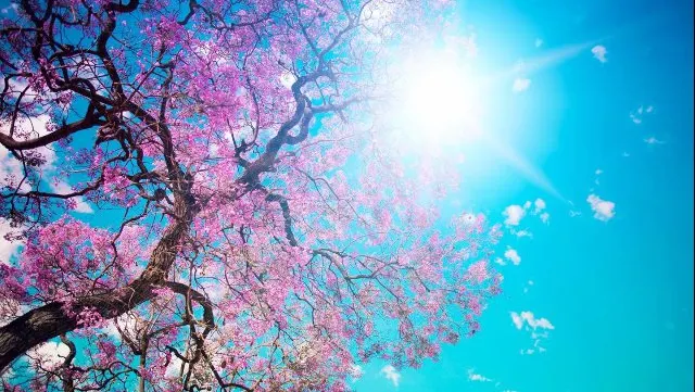 Veşti neaşteptate de la meteo: Cum va fi vremea în următoarele zile