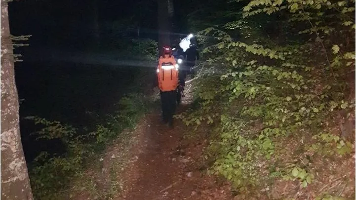 Doi turiști au întâlnit un urs pe traseul Jepii Mici din Bucegi. Ce a urmat
