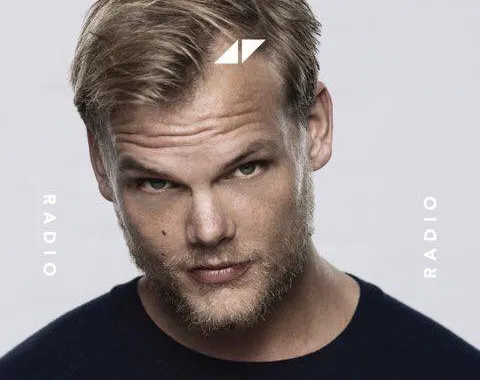 Viața zguduitoare dusă de Avicii. Lua câte 20 de pastile