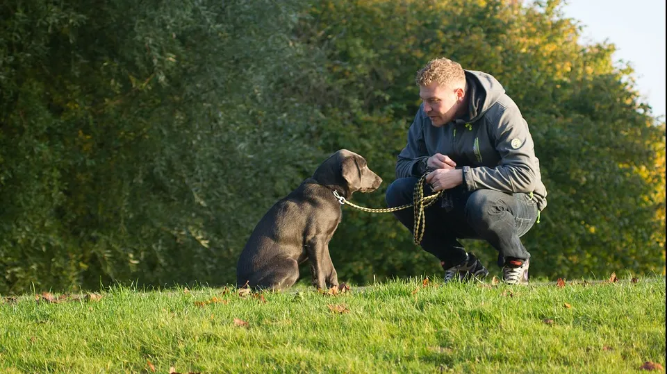 Ce înseamnă dacă vorbești cu animalele de companie așa cum ai vorbi cu copiii