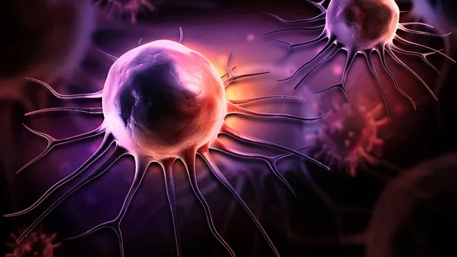 Descoperire senzaţională: un fruct care se găseşte şi la noi, efect puternic împotriva cancerului