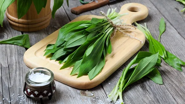 Leurda, planta despre care puţini ştiu asta. Pieţarii ţin secret totul. S-a aflat!