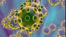 Virusul înrudit cu HIV provoacă leucemie. Cele mai multe cazuri sunt înregistrate în România!
