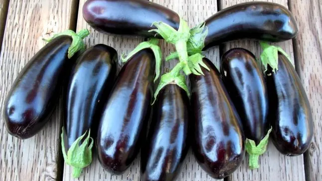 Cum să alegem cele mai bune vinete. Secretul dezvăluit de cultivatori