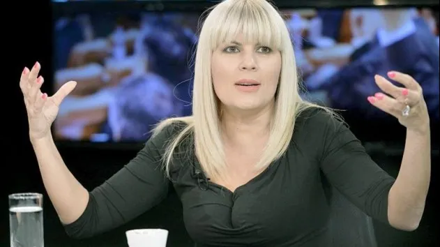 Elena Udrea, șase ani de închisoare cu executare în dosarul Gala Bute. Obreja, cinci ani