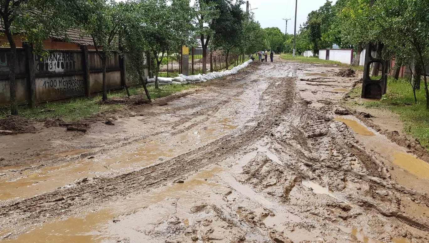 Furtuna a făcut ravagii la Arad