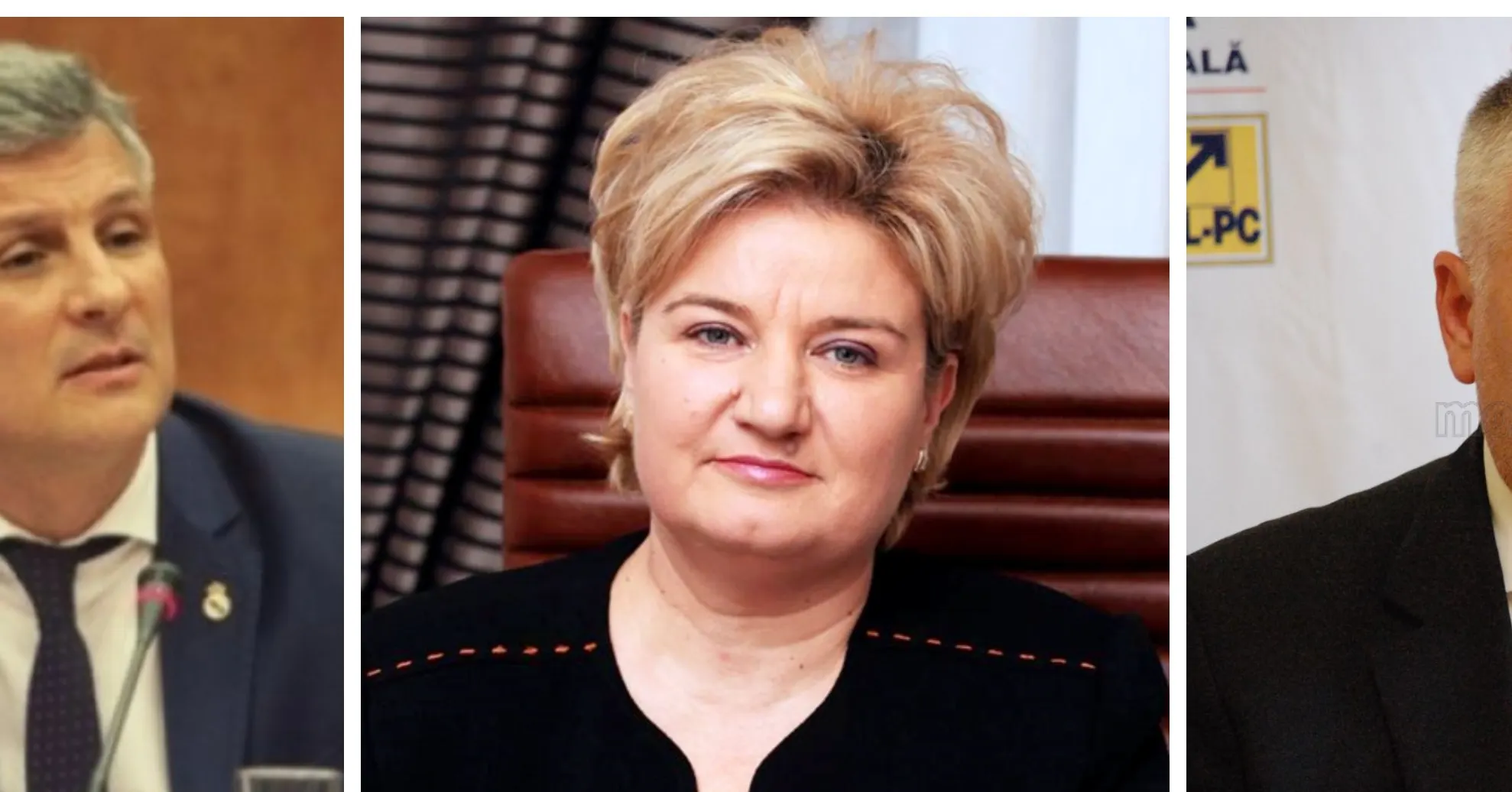 SURSE: Scurt-circuit la PNL, trei senatori pleacă la ALDE