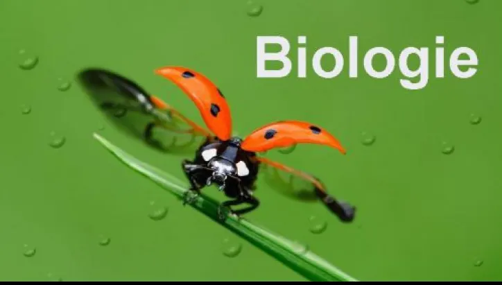 Subiecte Biologie BAC 2018. Subiecte uşoare la Biologie. Barem de corectare