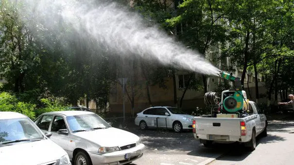 Primăria Capitalei a dat şase milioane de euro pentru dezinsecţie. De ţânţari tot nu am scăpat