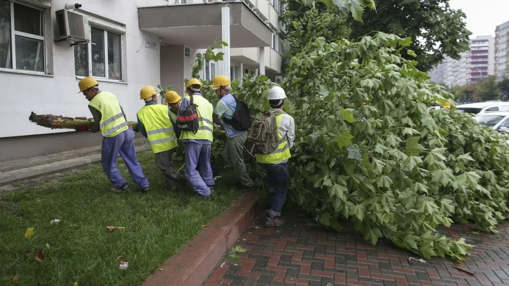 VIDEO. Prăpăd în Bucureşti, după furtună. 21 copaci doborâţi, 13 maşini avariate, case inundate