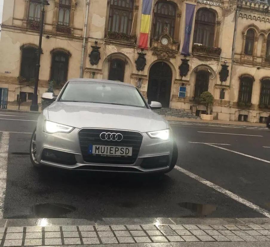 PNL aşteaptă explicaţii de la Carmen Dan în scandalul "M..E PSD"