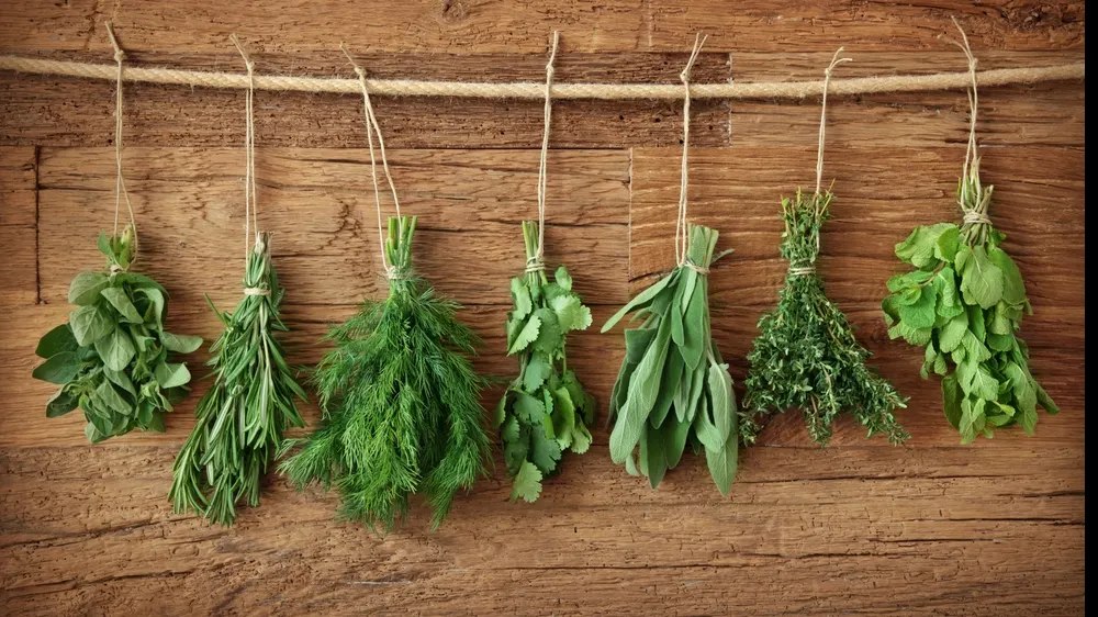 Planta cu efecte miraculoase. Iată cât de benefică este!