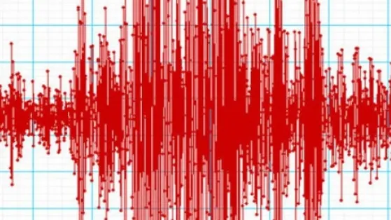 Activitate seismică intensă. România, lovită de încă două cutremure