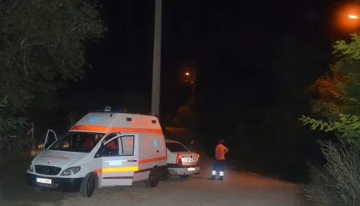 O adolescentă a murit după ce a căzut de pe un stâlp de înaltă tensiune