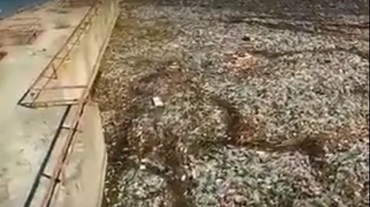 Dezastru ecologic. O insulă de PET-uri zace în mijlocul râului Olt, de mai bine de o lună