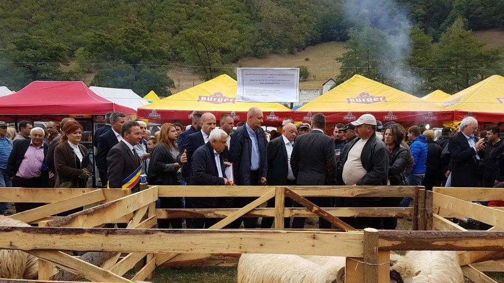 Petre Daea: "Nu pot să îmi demonstrez incompetenţa. Şi eu sunt autoritate"