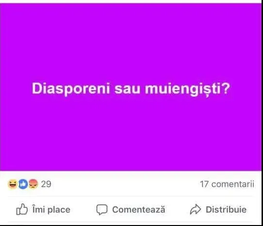 „Diasporeni sau muiengiști?“. Mesaj jignitor după protestul din 10 august