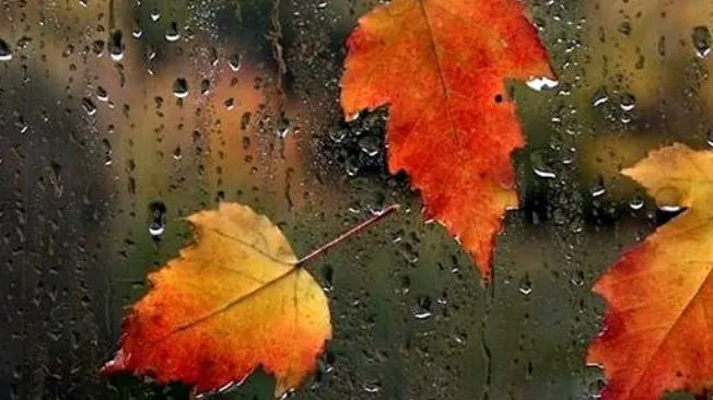 Vreme extrem de schimbătoare! Prognoza meteo până pe 14 octombrie