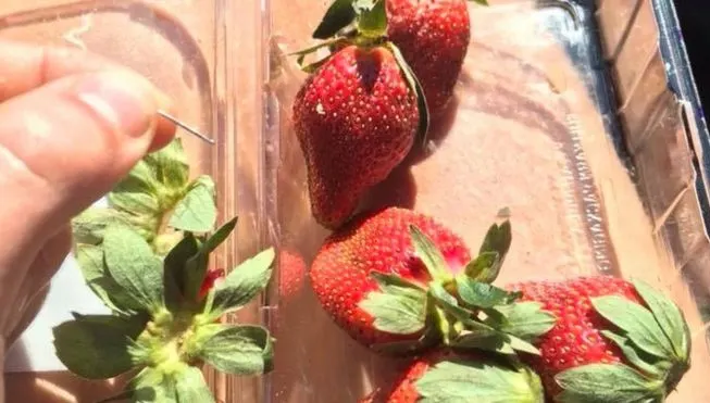 TERIFIANT! Căpşune cu ace în interior, de vânzare la supermarket