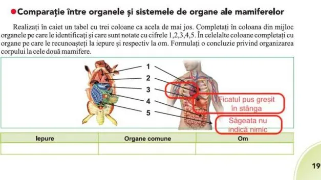 Ministerul Educaţiei îşi asumă şi eşecul manualului de biologie, va tipări erate