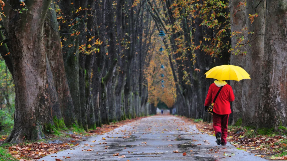 Prognoza meteo: Cum va fi vremea în următoarele trei zile