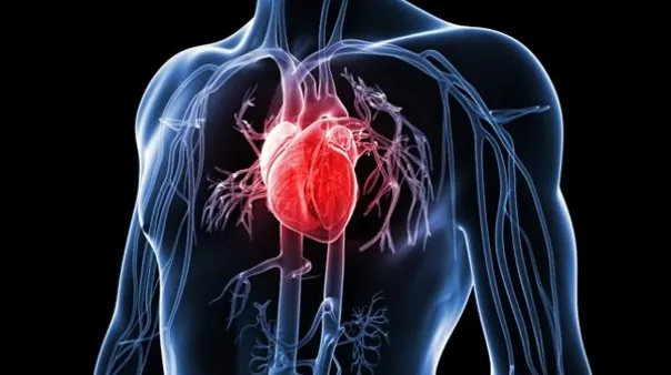 Transplant inimă la mare distanță