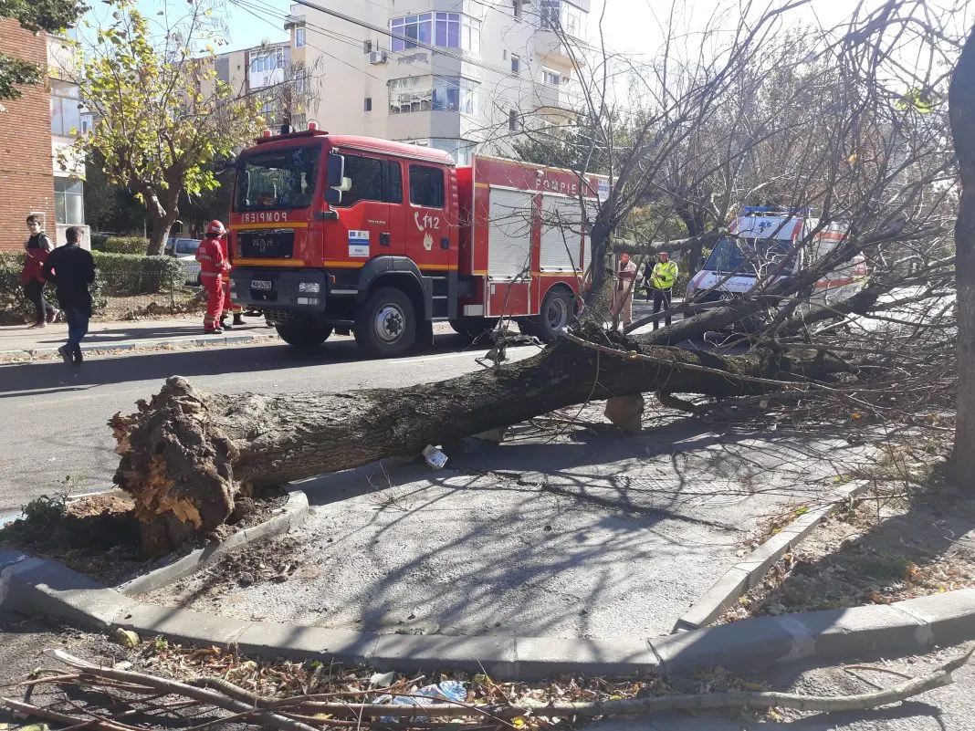 Vântul puternic face victime! O femeie a fost prinsă sub un copac doborât de vijelie
