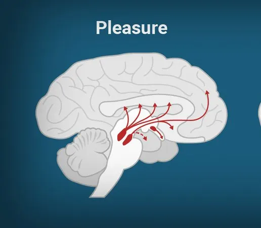Ce poate produce la fel de multă plăcere ca un act sexual. Oricine poate face acest lucru