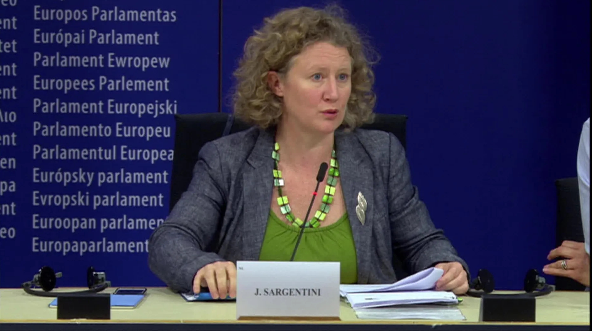 Critici dure la adresa Guvernului. Europarlamentarul Judith Sargentini: "Aveţi mare grijă"